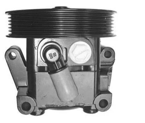 Pompe hydraulique, direction GENERAL RICAMBI PI1143