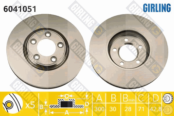 Disque de frein GIRLING 6041051