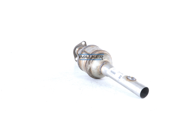 Catalyseur WALKER 20894