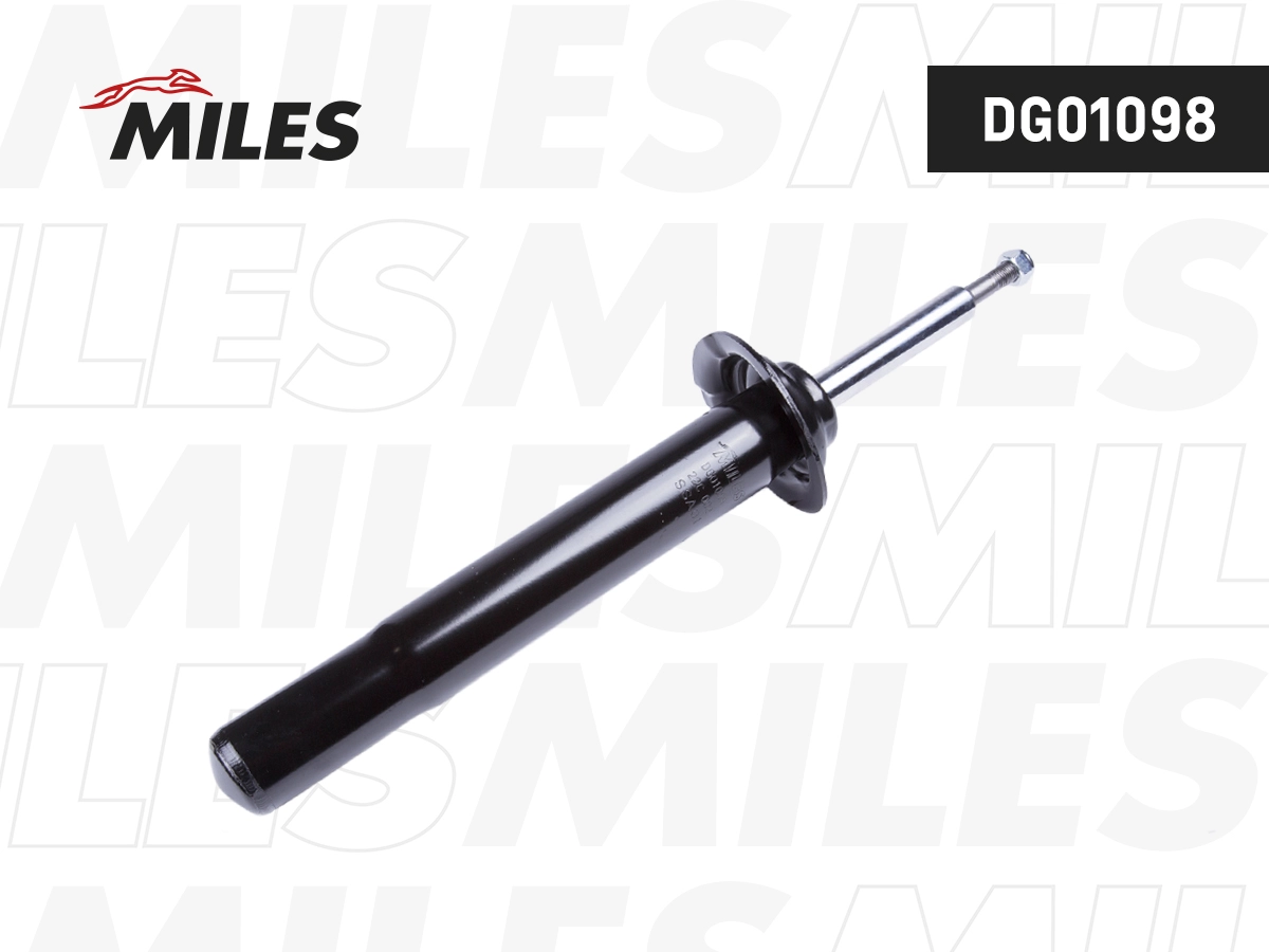Amortisseur MILES DG01098
