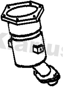 Catalyseur KLARIUS 312841