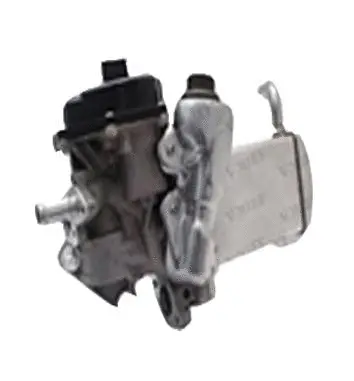 Vanne EGR ASSO 70.0010