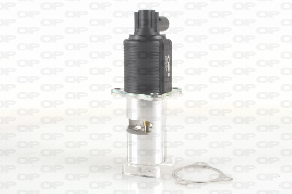 Vanne EGR OPEN PARTS EGR3024.00