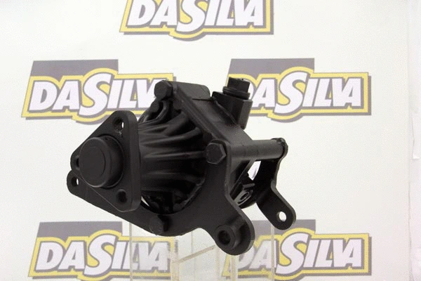 Pompe hydraulique, direction DA SILVA DP2376