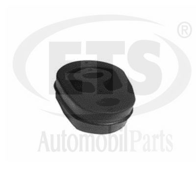 Support moteur ETS 06.ST.122