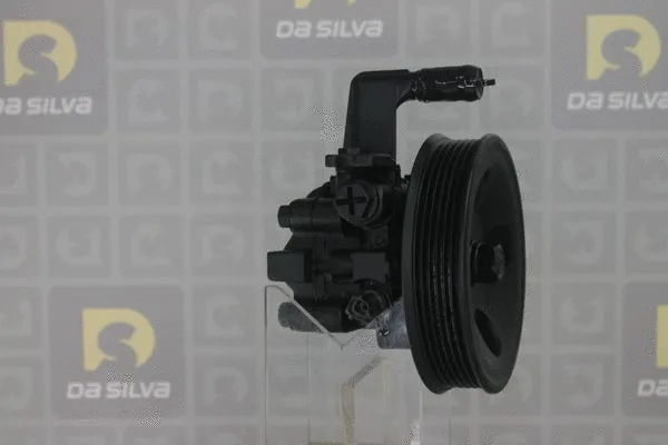 Pompe hydraulique, direction DA SILVA DP3464