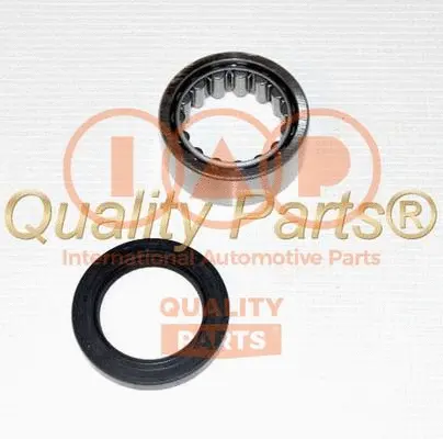 Kit de roulements de roue IAP QUALITY PARTS 409-17041K