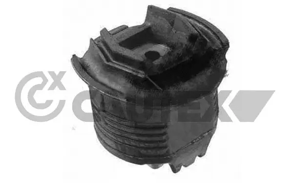 Suspension, corps de l'essieu CAUTEX 755680