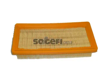 Filtre à air FRAM CA5495