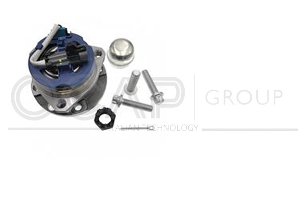 Kit de roulements de roue OCAP 6120319