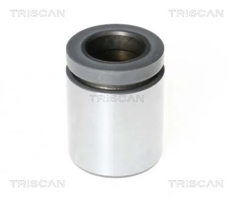 Piston, étrier de frein TRISCAN 8170 234419