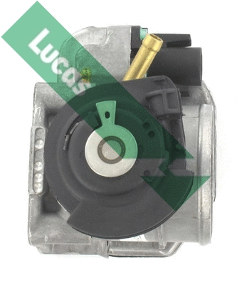 Corps papillon LUCAS LTH486