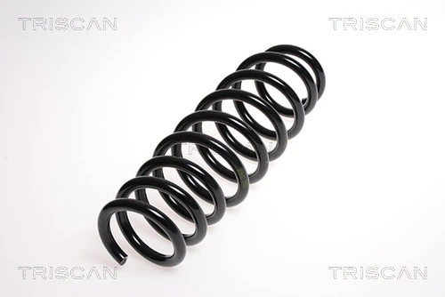 Ressort de suspension TRISCAN 8750 15129