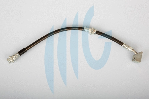 Flexible de frein RICAMBIFLEX GM 02100739