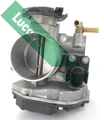 Corps papillon LUCAS LTH416