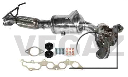Catalyseur VEGAZ GmbH FK-308