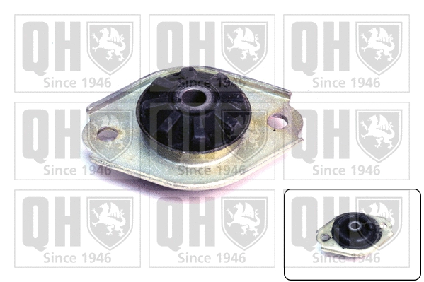 Coupelle de suspension QUINTON HAZELL EMR2221