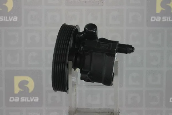Pompe hydraulique, direction DA SILVA DP2396