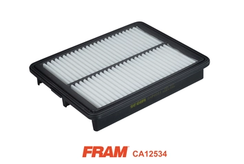 Filtre à air FRAM CA12534