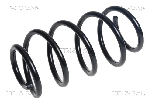 Ressort de suspension TRISCAN 8750 16140