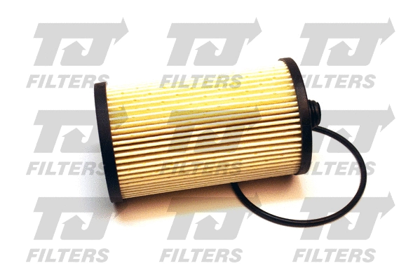 Filtre à carburant QUINTON HAZELL QFF0060