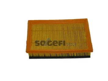 Filtre à air FRAM CA9861