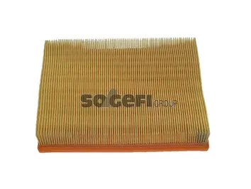 Filtre à air FRAM CA5109