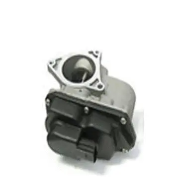 Vanne EGR ASSO 70.0003