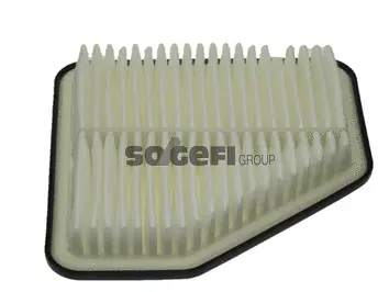 Filtre à air FRAM CA10169