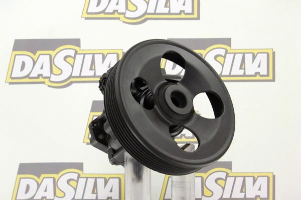Pompe hydraulique, direction DA SILVA DP2898