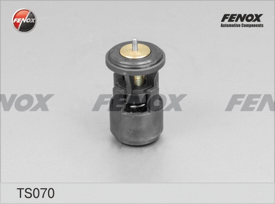 Thermostat, liquide de refroidissement FENOX TS070