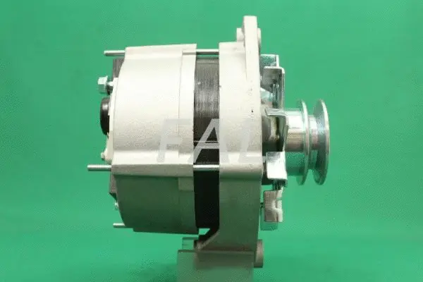 Alternateur FAL Anlasser- und Lichtmaschinenservice F002828/25