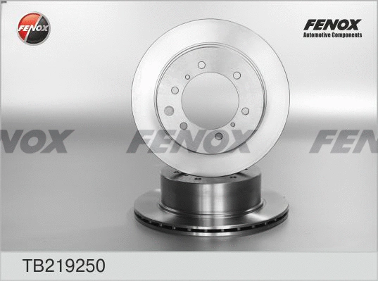 Disque de frein FENOX TB219250