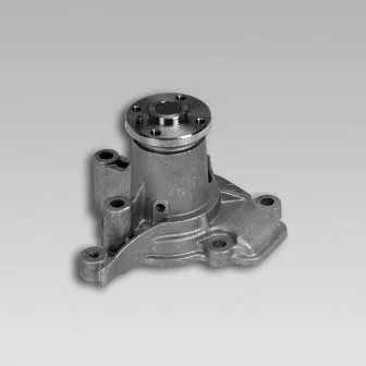 Pompe à eau, refroidissement du moteur GK 987726