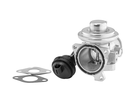 Vanne EGR BorgWarner 7241D
