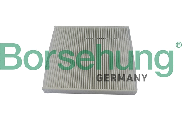 Filtre, air de l'habitacle Borsehung B10529