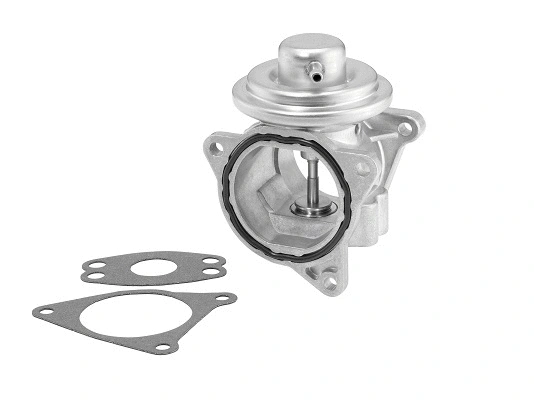 Vanne EGR BorgWarner 7496D