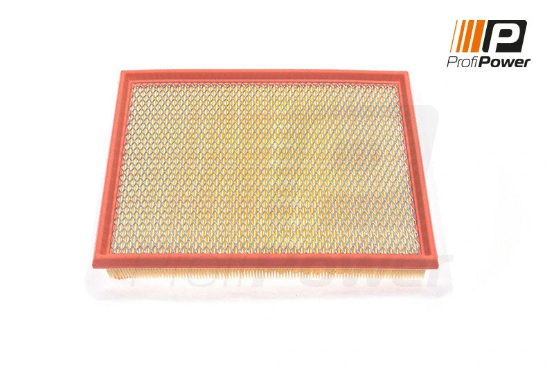 Filtre à air ProfiPower 2F0016