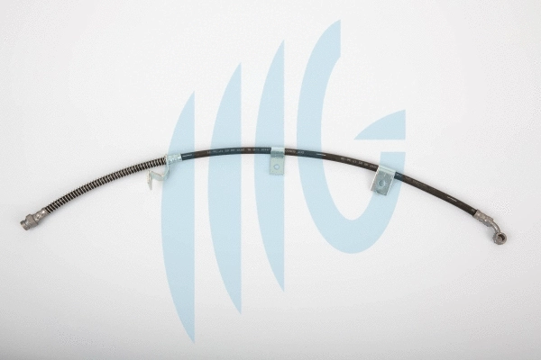 Flexible de frein RICAMBIFLEX GM 02160901