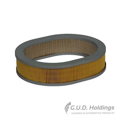 Filtre à air GUD AG778
