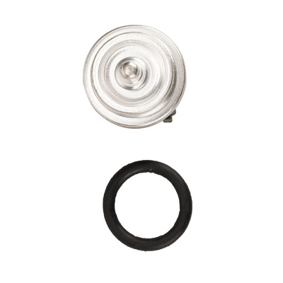 Sonde, température du liquide de refroidissement BAPMIC BACB17-747004