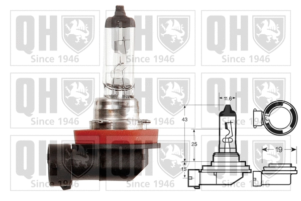 Ampoule, projecteur principal QUINTON HAZELL QBL711