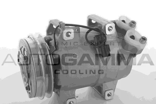 Compresseur, climatisation AUTOGAMMA 118601