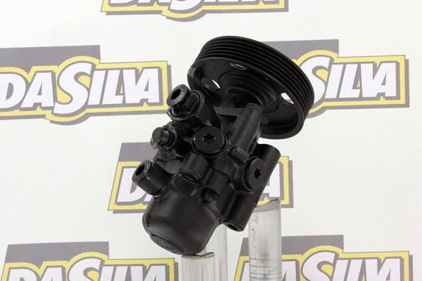 Pompe hydraulique, direction DA SILVA DP2243