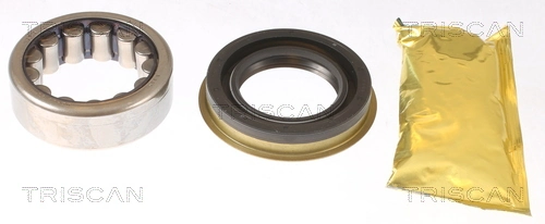 Kit de roulements de roue TRISCAN 8530 102002
