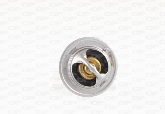 Thermostat, liquide de refroidissement OPEN PARTS TRM1023.00
