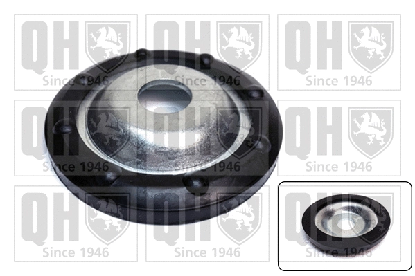 Patin de ressort QUINTON HAZELL EMR4910