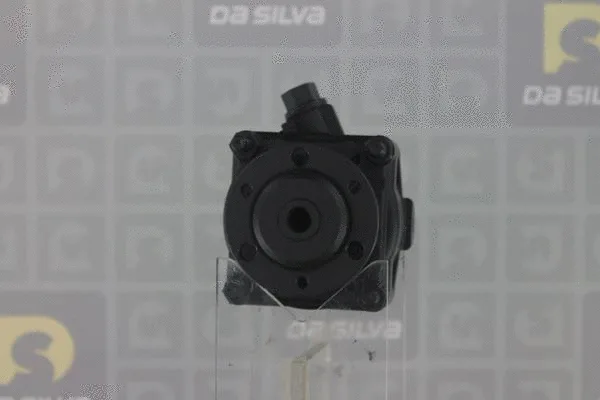 Pompe hydraulique, direction DA SILVA DP2645