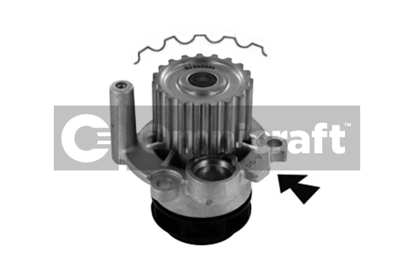 Pompe à eau, refroidissement du moteur Omnicraft 2316884
