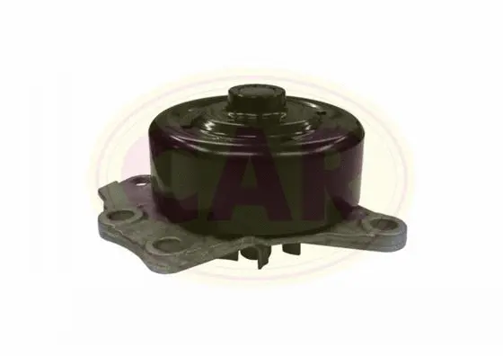 Pompe à eau, refroidissement du moteur CAR 332584